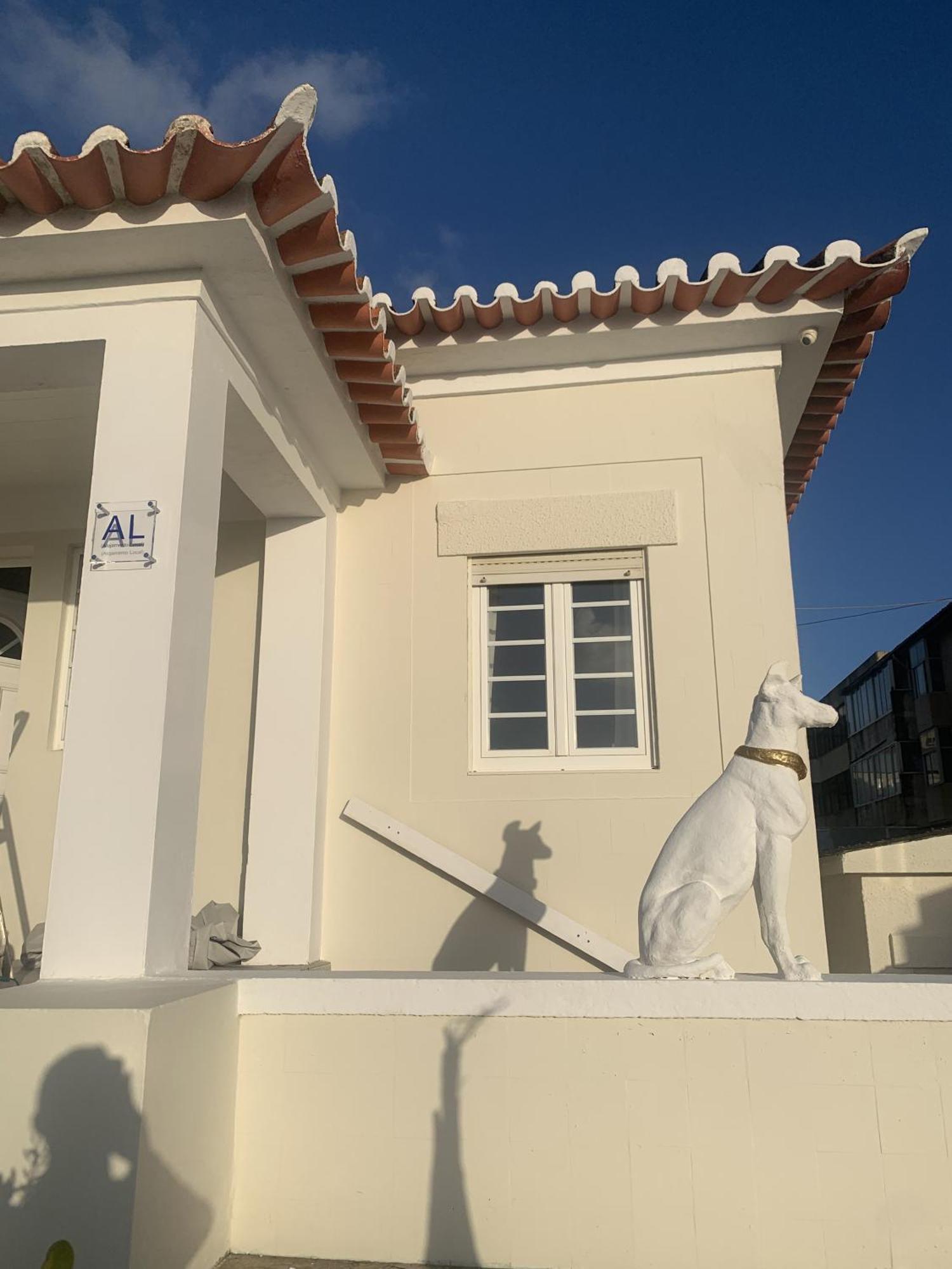 Casa Do Cao Da Do Furadouro Ovar